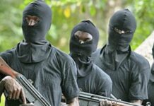 Zamfara Massacre: Terrorists Kill 38 Hostages After Collecting ₦50 Million Ransom