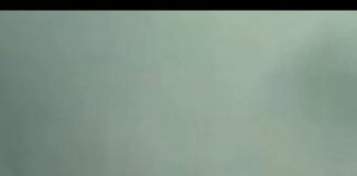 False Accusations vs. Justice: The Lessons from the Mirabel Case