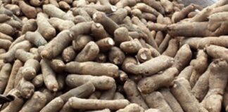 JUST IN: Yam Prices Surge Across Lagos Markets