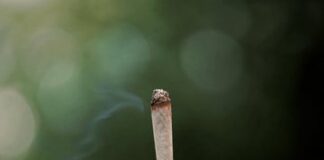HEALTH ALERT: U.S. Study Links Teen Marijuana Use to Damaged Brain Development