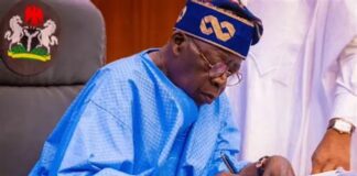 BREAKING: Tinubu Appoints Prof. Oluwatoyin Ogundipe as NUC Governing Board Chairman